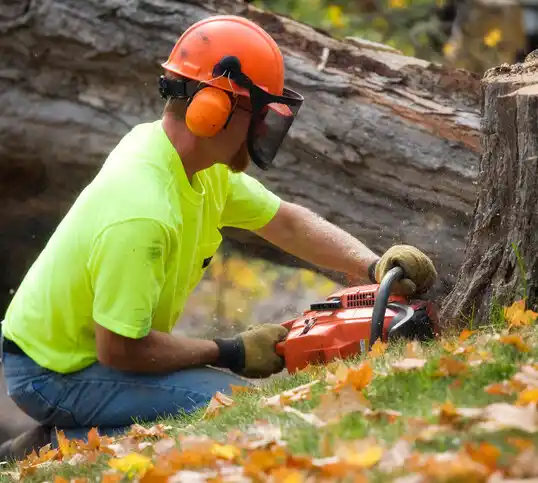 tree services Twin Rivers